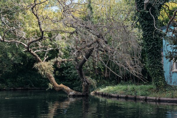 Athérosclérose : comment protéger votre cœur dès maintenant